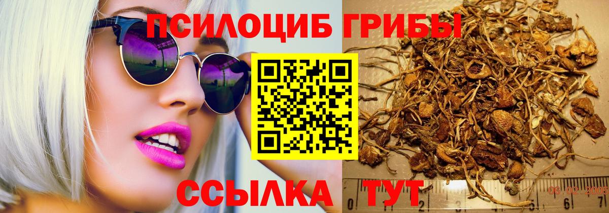 Псилоцибиновые грибы мухоморы Гурьевск