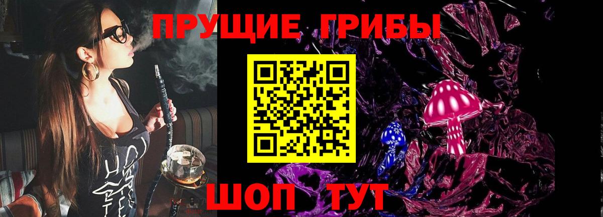 Псилоцибиновые грибы MAGIC MUSHROOMS  Вход с VPN  Гурьевск 